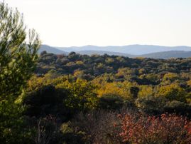 view to the mountains