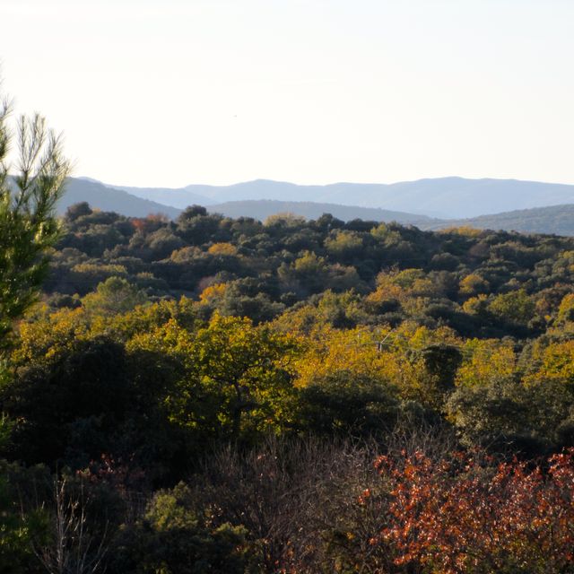 view to the mountains