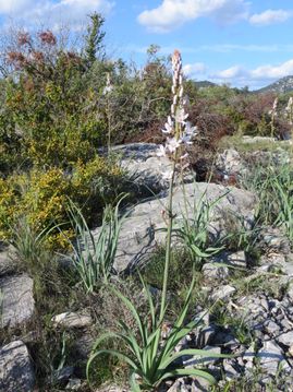 rocky terrain