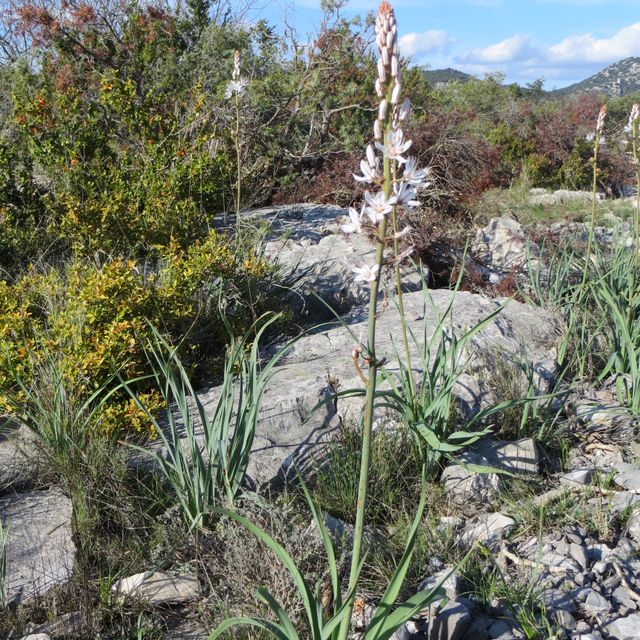 rocky terrain