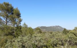 view of the mountains