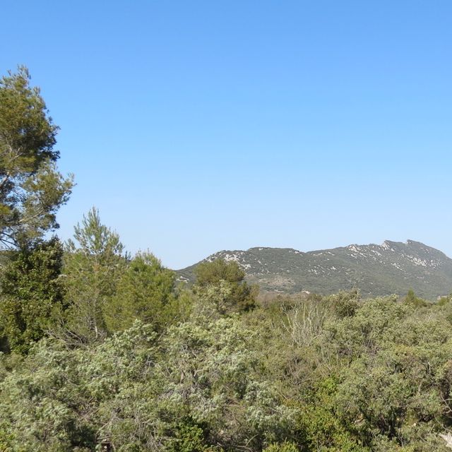 view of the mountains