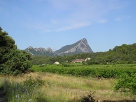 Mountain view in the distance