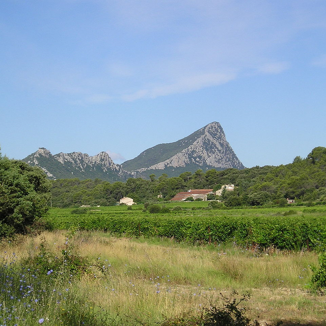 Mountain view in the distance